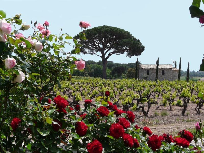 Hotel La Bastide Du Clos des Roses - Les Collectionneurs à Fréjus Extérieur photo